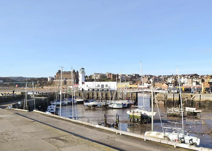 Walk * سكرابورو